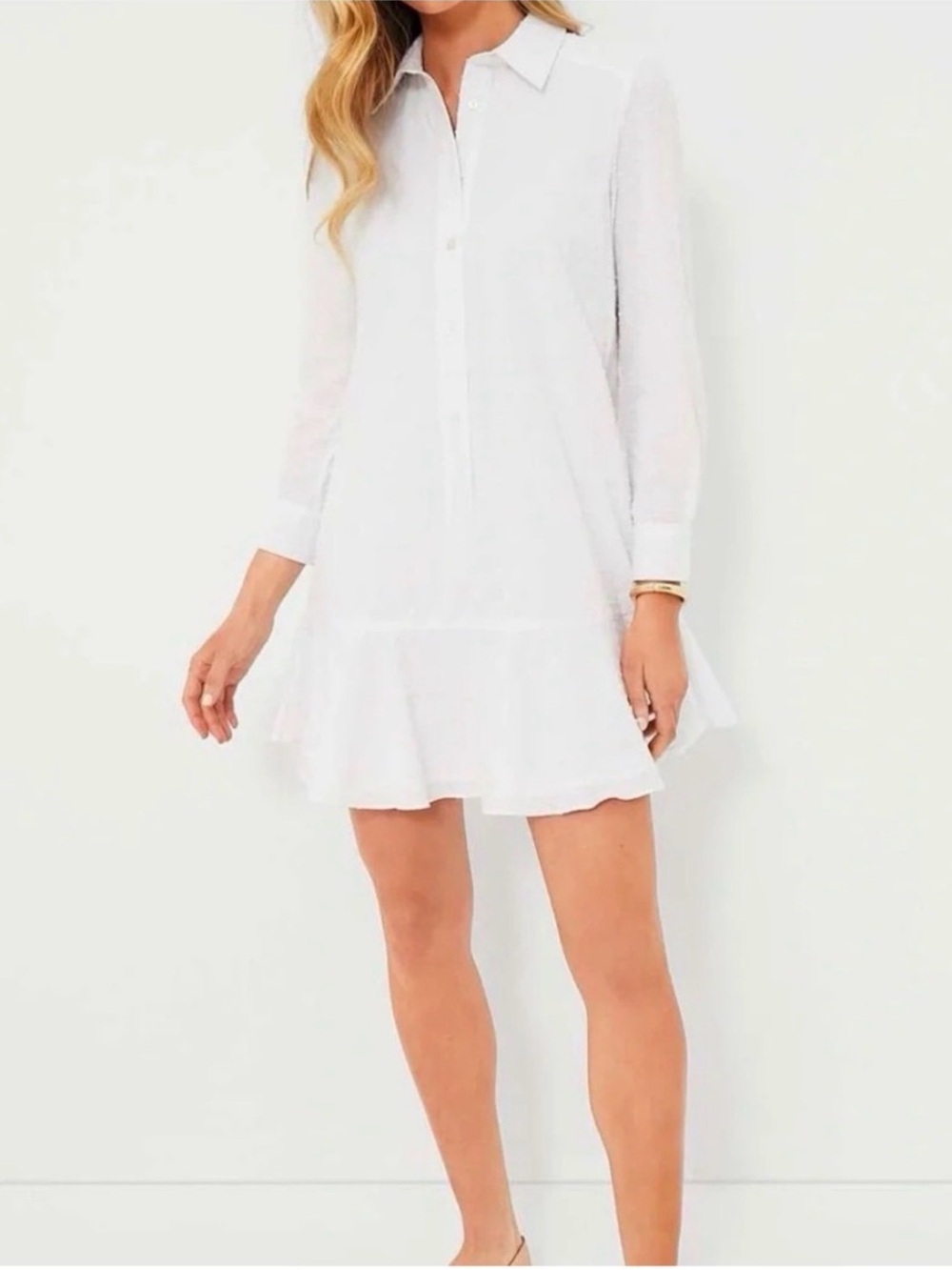 Tuckernuck Callahan White Swiss Dot 100% Cotton Shirt Dress
